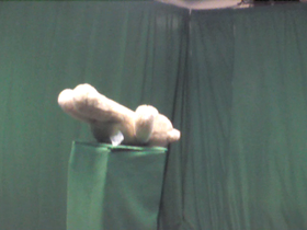225 Degrees _ Picture 9 _ Light Brown Teddy Bear Lying on Back.png